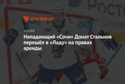 Нападающий «Сочи» Донат Стальнов перешёл в «Ладу» на правах аренды - championat.com - Сочи - Нижний Новгород - Тюмень - Ярославль - Пенза - Воскресенск