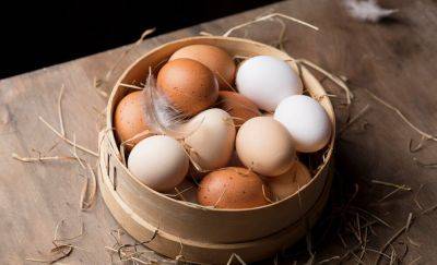 В чем разница между белым и коричневым яйцом — объяснение врача