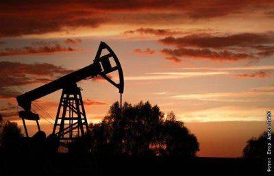 Новак заявил, что компании будут сами решать, сокращать добычу или экспорт нефти в августе