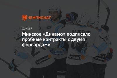 Минское «Динамо» подписало пробные контракты с двумя форвардами