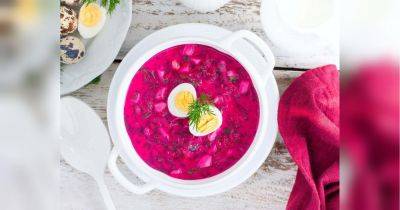 Холодные супы прекрасно подходят: диетолог дала советы, что есть в жару