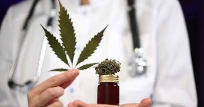Каннабис не для всех: марихуану для лекарств будут выращивать под надзором полиции, – нардеп