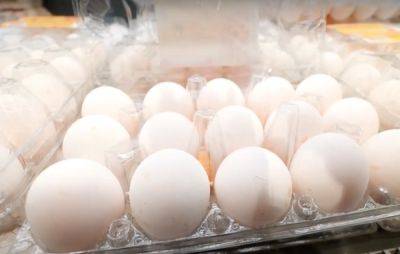 Больше 200 грн: украинцев ошарашили новыми ценами на яйца