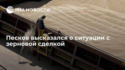 Песков: новых элементов, касающихся продления участия России в зерновой сделке, нет