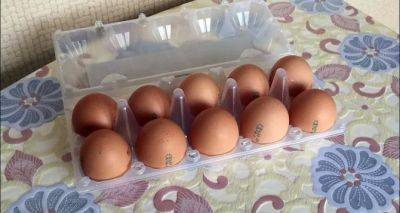 Что будет с яйцами в Украине: какая будет цена, возможен ли дефицит — мнение экспертов