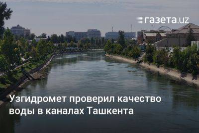 Узгидромет проверил качество воды в каналах Ташкента