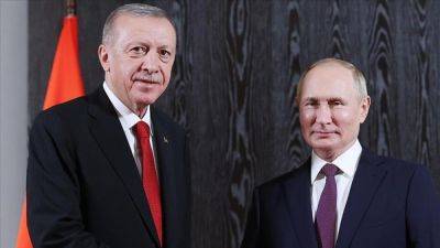 Продление зерновой сделки – Путин согласился с предложением Эрдогана
