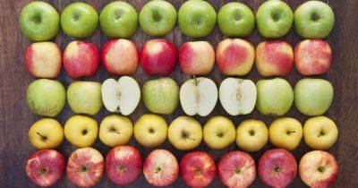 Диетолог объяснила пользу от каждодневного поедания яблок