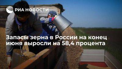 Запасы зерна в России на конец июня выросли на 58,4 процента, до 13,2 миллиона тонн