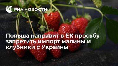 Валдис Домбровскис - Польша направит в Еврокомиссию просьбу о запрете импорта малины и клубники с Украины - smartmoney.one - Украина - Румыния - Венгрия - Польша - Болгария - Ляйен - Словакия