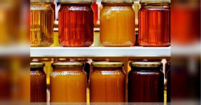 Как правильно хранить мед, чтобы сохранить его свежесть