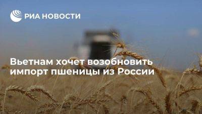 Вьетнам хочет возобновить импорт пшеницы из России, есть интерес и к черешне
