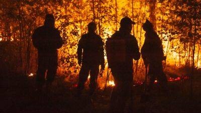 За месяц площадь лесных пожаров в России выросла в 43 раза