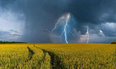 Погода в Украине – когда ожидается большая жара и дожди - apostrophe.ua - Украина - Киев - Крым