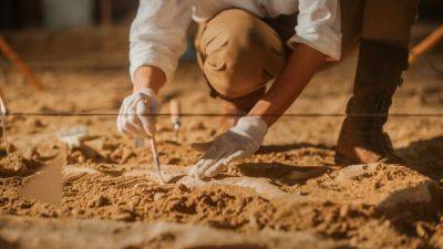 В Бразилии найдены артефакты древних людей возрастом в 25 тысяч лет