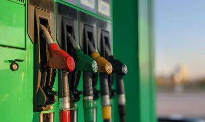 Цена бензина на заправках: сколько сейчас стоит один литр топлива