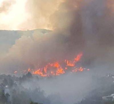 Лесные пожары в Испании вызваны жарой: по меньшей мере 2 000 человек эвакуированы