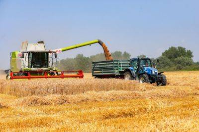 Экспорт украинского зерна в ЕС - Венгрия и еще 4 страны хотят продления ограничений