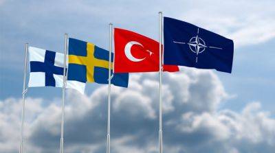 В Турции объяснили, почему власти страны поддержали расширение НАТО