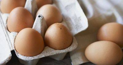 Яйца и куриное мясо: эти продукты подорожают в августе
