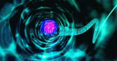 Туда и обратно: физики выяснили, как червоточины могут позволить путешествовать во времени