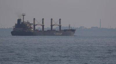 Украину покинуло последнее судно в рамках текущей зерновой сделки – Reuters