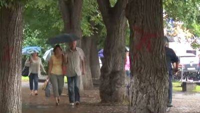 Дикая жара и дожди с грозами: синоптики предупредили о непростой погоде в понедельник, 17 июля