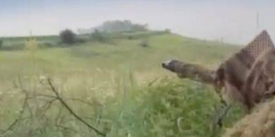 Сырский показал уничтожение оккупантов снайперами Призрака