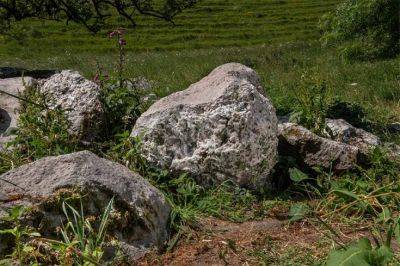 В Англии нашли камень для полировки топоров возрастом 5 тысяч лет - фото