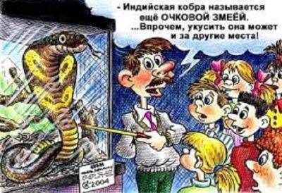 Утренний одесский анекдот про Розу Марковну и змей | Новости Одессы