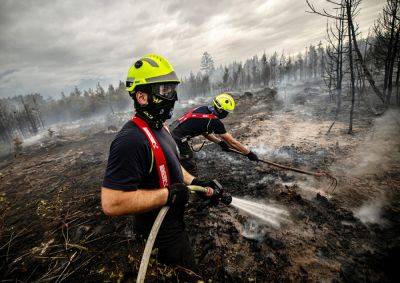 Рекордно жаркая суббота привела к резкому росту пожаров в Чехии
