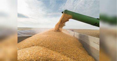 В кремле заявили о прекращении действия «зернового соглашения»