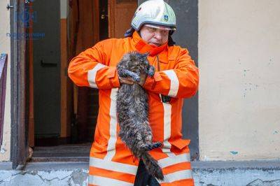3 людей и кота спасли от пожара спасатели ГСЧС в Харькове