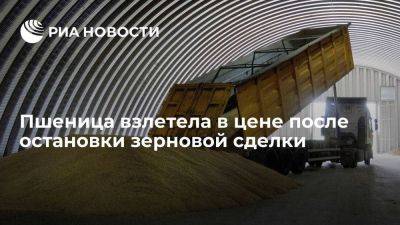 Пшеница резко подорожала на бирже после заявления России об остановке зерновой сделки