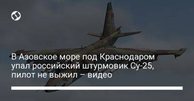 В Азовское море под Краснодаром упал российский штурмовик Су-25, пилот не выжил – видео - liga.net - Россия - Украина - Краснодарский край - Краснодар - Ейск