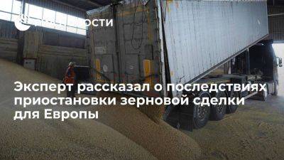 Эксперт Эрчин предрек рост цен на европейских рынках из-за приостановки зерновой сделки