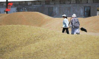 В Турции уверены, что решение о продлении зерновой сделки примут в последний момент