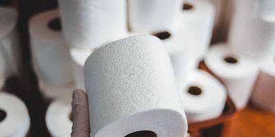 Успели до национализации. Производитель туалетной бумаги Zewa ушел с российского рынка