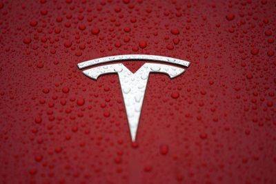 Скептики Tesla не верят в продолжение ралли