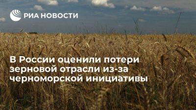 Зерновая отрасль России потеряла из-за черноморской инициативы около миллиарда долларов