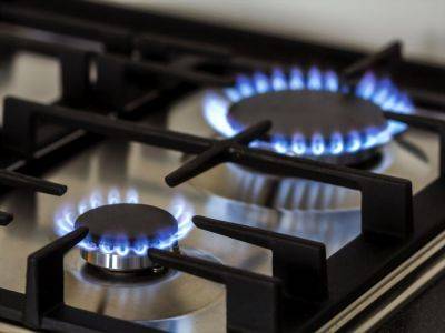 Цену на газ для населения не будут повышать до 1 мая 2024 года – "Нафтогаз"