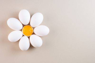 Яйца треснули – как правильно варить – кулинарные советы