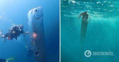 Рыба Судного дня - у Тайваня увидели рыбу-ремень - что значит - фото
