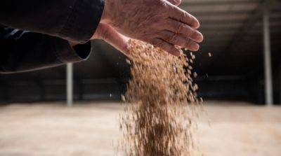 Запад надеется, что Китай окажет давление на россию для возвращения к зерновой сделке – Politico