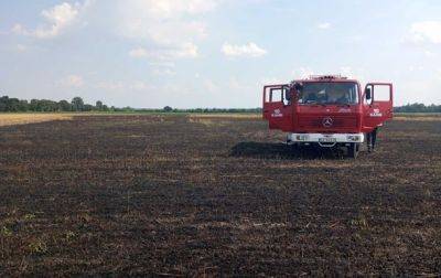 В Черкасской области вспыхнул комбайн и сгорело 20 гектаров пшеницы