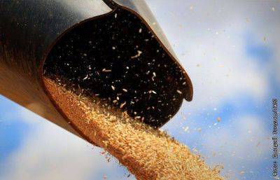 В Кремле заявили, что продолжение "зерновой сделки" без РФ сопряжено с рисками