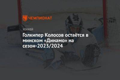 Алексей Колосов - Голкипер Колосов остаётся в минском «Динамо» на сезон-2023/2024 - championat.com - Белоруссия - Минск