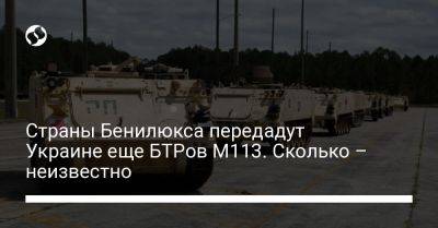 Страны Бенилюкса передадут Украине еще БТРов М113. Сколько – неизвестно