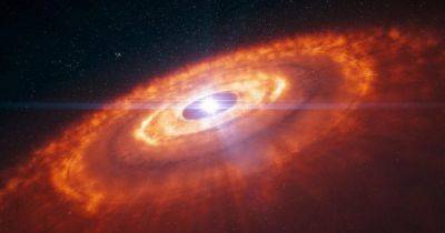 Космический аборт. Ученые выяснили, что огромные звезды уничтожают "неродившиеся" планеты