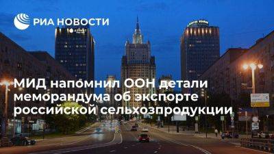 МИД: у секретариата ООН есть 90 дней на нормализацию экспорта российской продукции